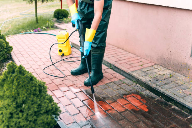 Best Parking Lot Cleaning in Santa Paula, CA
